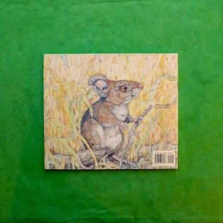 The Lion & the Mouse фото книги 9