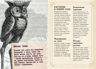 Маленький гримуар ведьмы. Зелья и волшебные травы фото книги 8