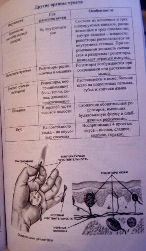 Биология в таблицах и схемах для школьников и абитуриентов фото книги 4