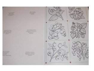 Что лежит в лукошке. Для занятий с детьми от 3 до 4 лет. Книжка с дидактической игрой фото книги 5