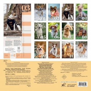 ПРО собак: четыре сезона. Настенный календарь на 2025 год фото книги 4