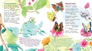 Букашки в кармашке фото книги 6