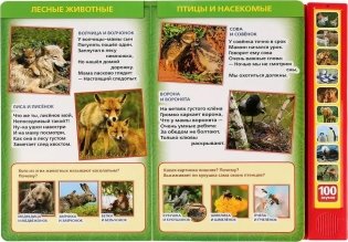 Музыкальная книжка игрушка для малышей. Стихи о животных фото книги 2
