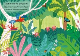 Морские каникулы фото книги 3