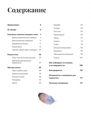 Рисуем акварелью: птицы леса и сада фото книги 2