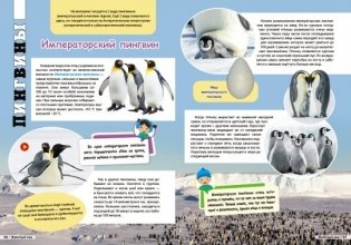 Антарктида. Серия "Мир путешествий" фото книги 5