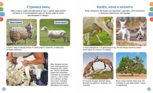 Полезные машины и животные фермы фото книги 7