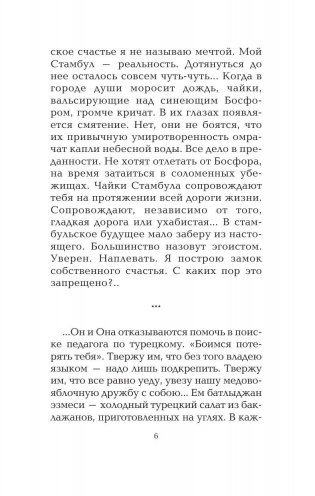 Сладкая соль Босфора фото книги 7