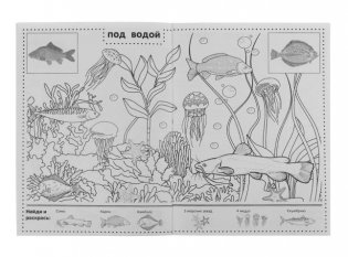 Кто где живёт? Раскраска "Найди и раскрась" с наклейками фото книги 4