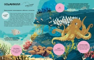 Семья в мире животных. Любовь, забота и воспитание в дикой природе фото книги 2