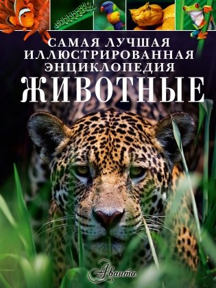 Животные фото книги