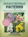 Лекарственные растения. Большая иллюстрированная энциклопедия фото книги маленькое 2