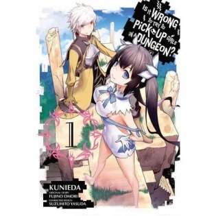 Is It Wrong to Try to Pick Up Girls in a Dungeon? Vol. 1 фото книги