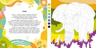 Животные фото книги 4