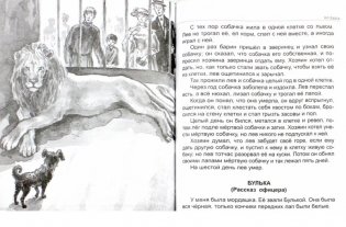 Сказки, рассказы, повести фото книги 2