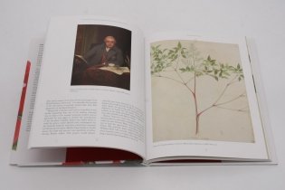 RHS John Reeves: Pioneering Collector of Chinese Plants and Botanical Art фото книги 2