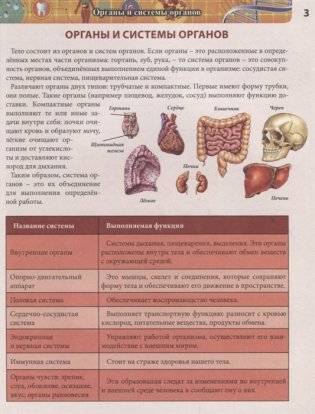 Энциклопедия. Тело человека фото книги 3