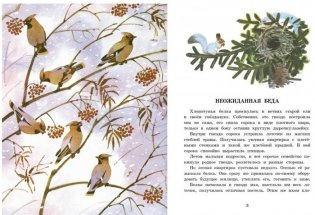 Белочка-хлопотунья фото книги 5