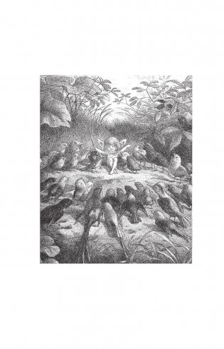 Сакральная сила Земли и Неба фото книги 4