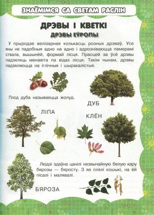Дрэвы і кветкі фото книги 2