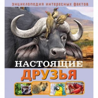 Настоящие друзья фото книги