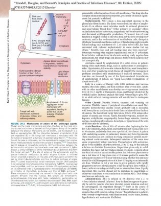 Mandell, Douglas, and Bennett's Principles and Practice of Infectious Diseases. Комплект из 2 томов (количество томов: 2) фото книги 2