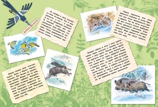 Большая лесная энциклопедия. Знакомимся с природой России фото книги 6