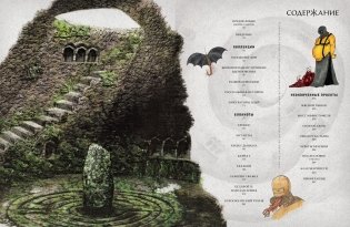 Кабинет редкостей. Мои зарисовки, коллекции и другие одержимости фото книги 2