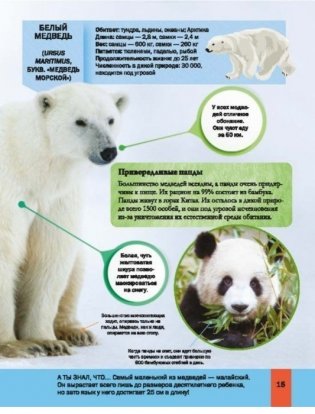 Животные фото книги 6