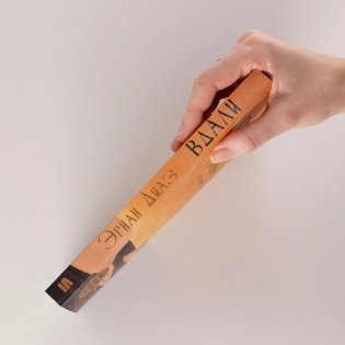 Вдали фото книги 3