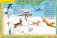 Кто самый, самый? Для занятий с детьми от 4 до 5 лет. Книжка с картонной вкладкой. Для занятий с детьми от 4 до 5 лет. Книжка с картонной вкладкой фото книги маленькое 3