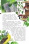 Певчие птицы. Средняя полоса европейской части России. Определитель с голосами птиц фото книги маленькое 7