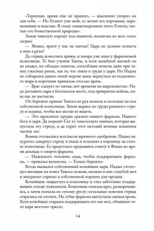Чародей фото книги 24
