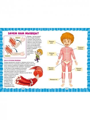 Как устроен человек. Первая энциклопедия для малышей фото книги 7