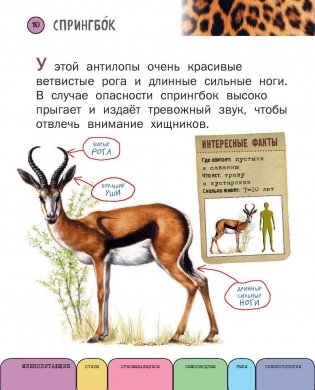 Все животные с крупными буквами фото книги 9