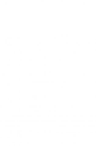 Подстрочник фото книги 11