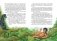 Маугли фото книги маленькое 7