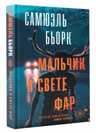 Мальчик в свете фар фото книги
