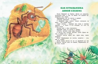 Как Муравьишка домой спешил. Сказки для малышей фото книги 2