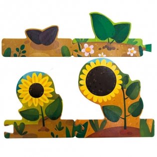 Как растет подсолнух фото книги 3