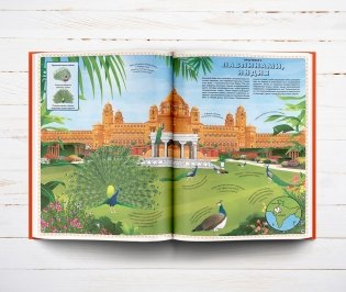 Большой атлас животных в картинках фото книги 10