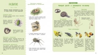 Насекомые и другие маленькие животные фото книги 3