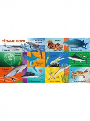 Морские обитатели фото книги 3