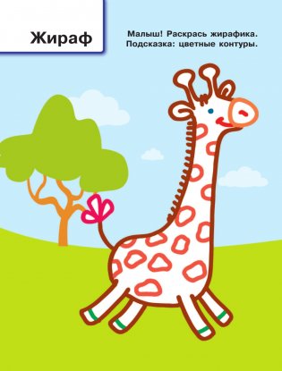 Зоопарк фото книги 2