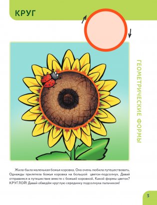 Основы математики. Первые занятия для малышей фото книги 4