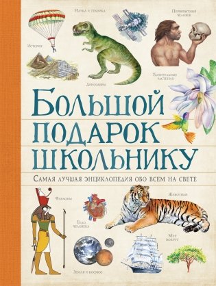Большой подарок школьнику фото книги