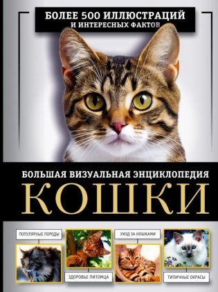 Кошки. Большая визуальная энциклопедия фото книги