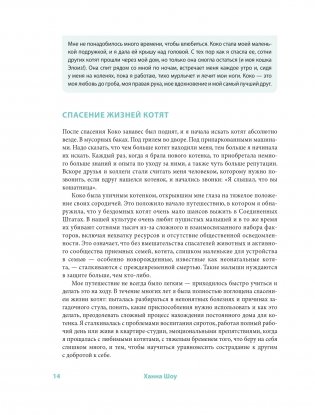 Крошки на ладошке. Трогательное руководство по спасению и заботе о котятах для самых неравнодушных фото книги 9