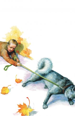 Как правильно любить собак. Рассказы фото книги 5