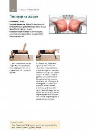 Анатомия тренировок со свободными отягощениями фото книги 11